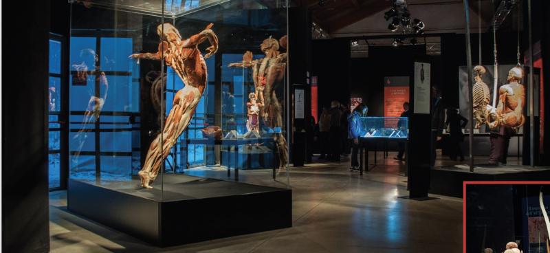 SCIENZA E CULTURA